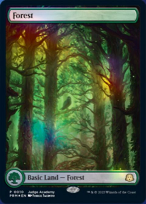 10-forest
