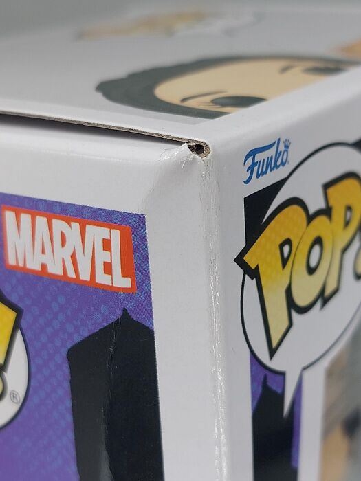 1212 Kate Bishop (with Lucky) Marvel Hawkeye Box Damaged Funko POP