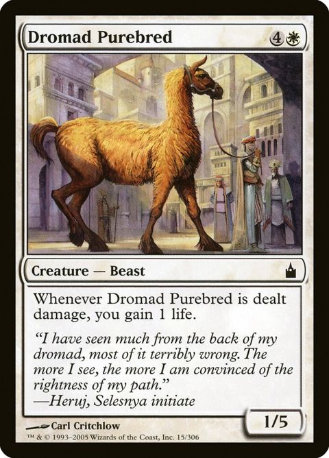 15-dromadpurebred