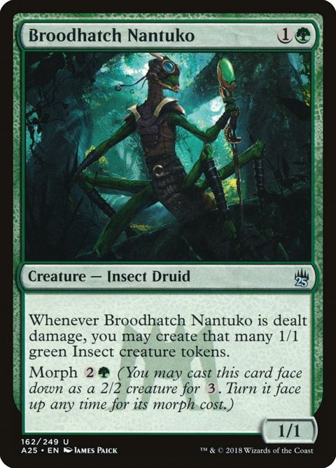 162-broodhatchnantuko