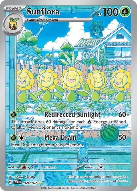 169-sunflora