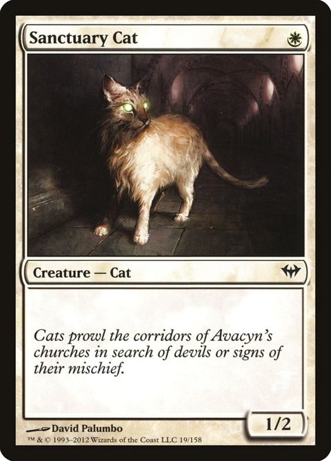 19-sanctuarycat