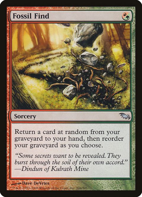 206-fossilfind