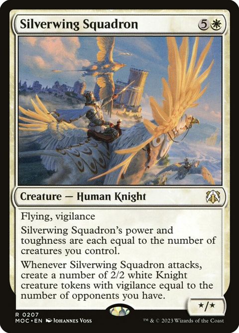207-silverwingsquadron