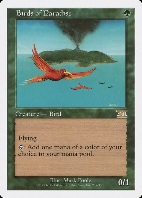 217-birdsofparadise