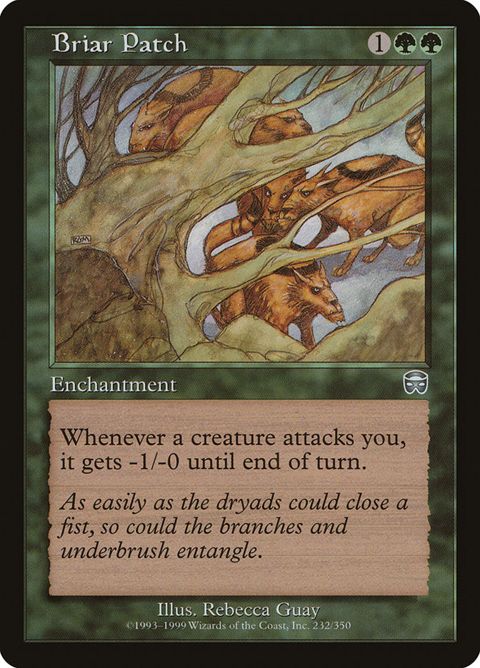 232-briarpatch