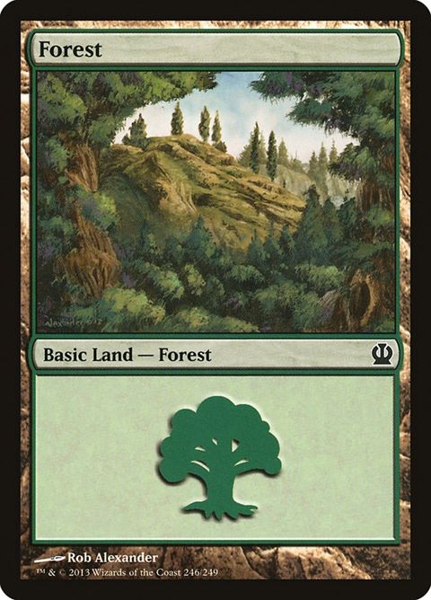 246-forest