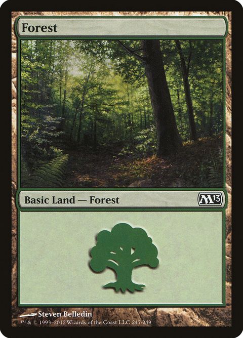 247-forest