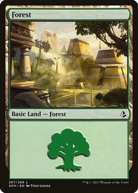 267-forest