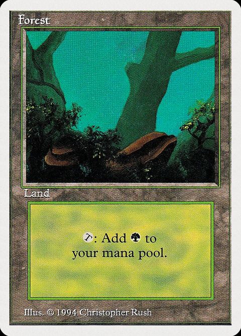304-forest