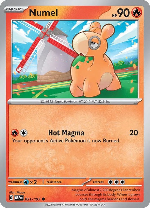 31-numel