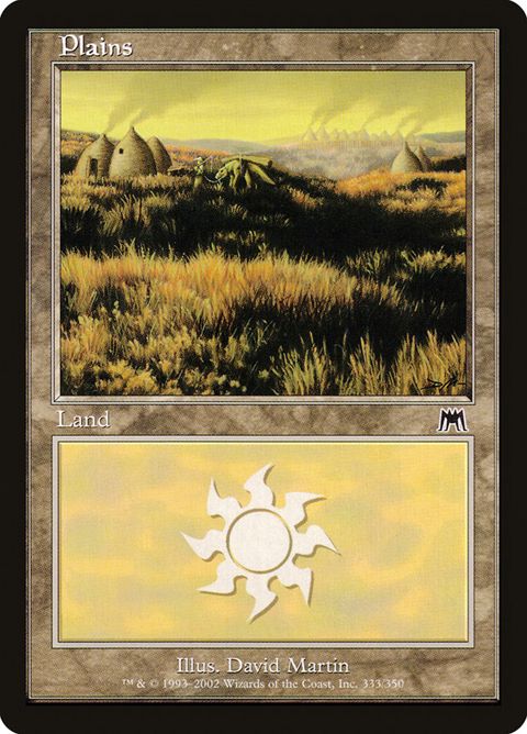 333-plains