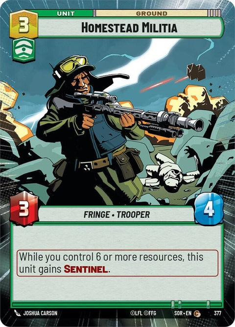 377-homesteadmilitia-a