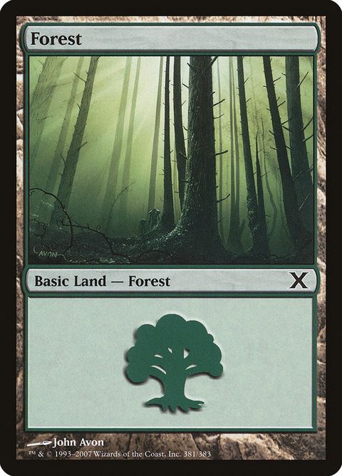381-forest