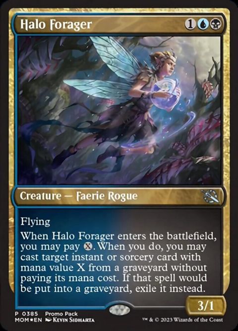 385-haloforager
