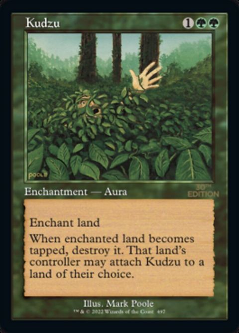 497-kudzu