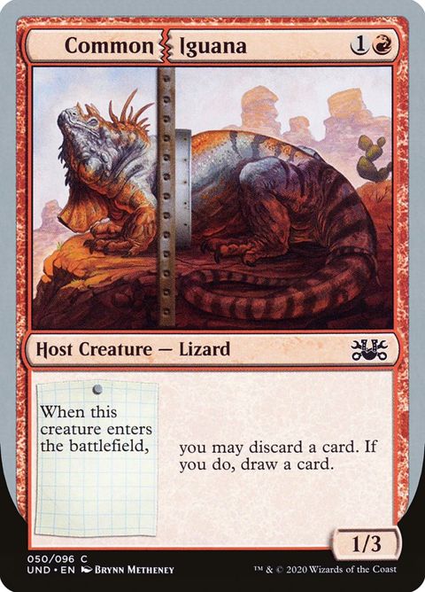 50-commoniguana