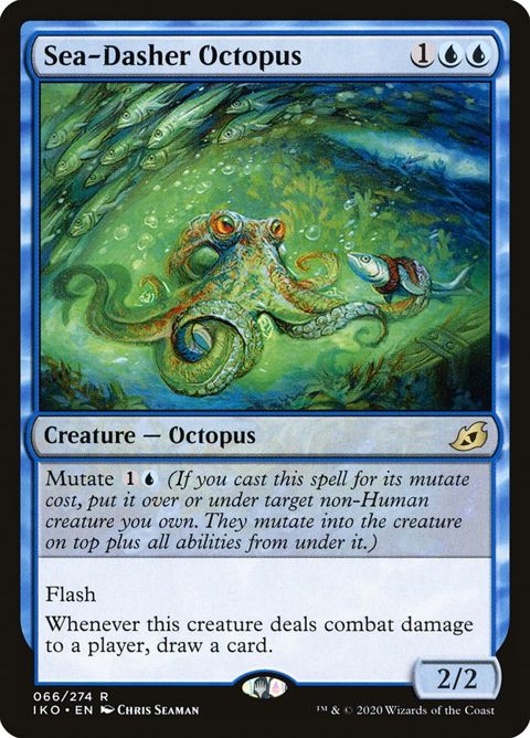 66-seadasheroctopus
