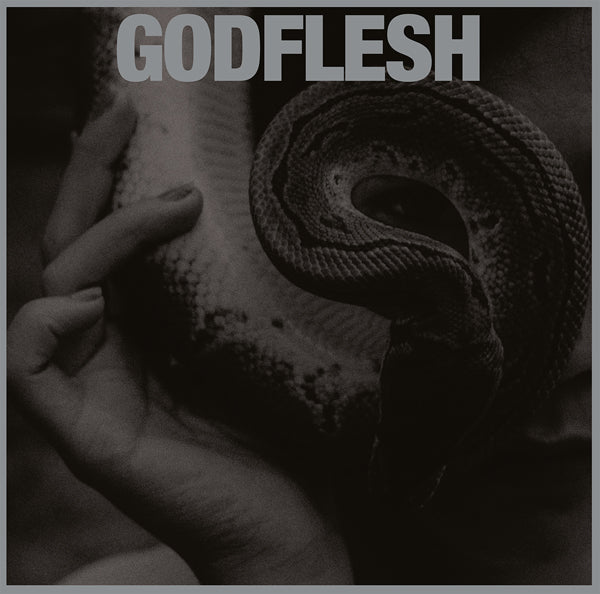 Godflesh - Purge - Metal - CDD
