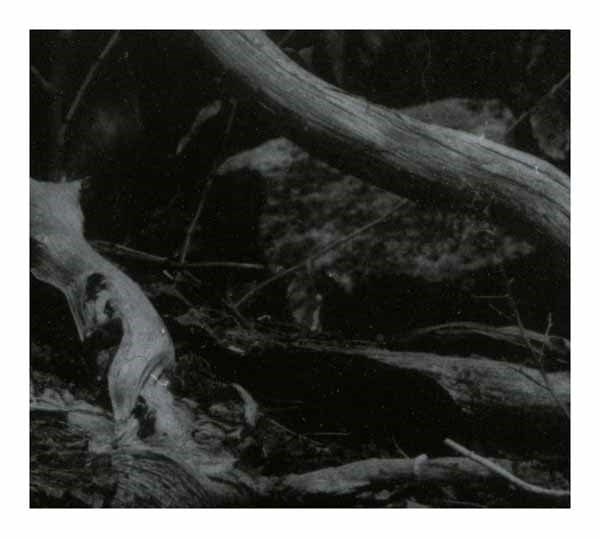 Barren Canyon - World Of Wounds - Black Metal - LP