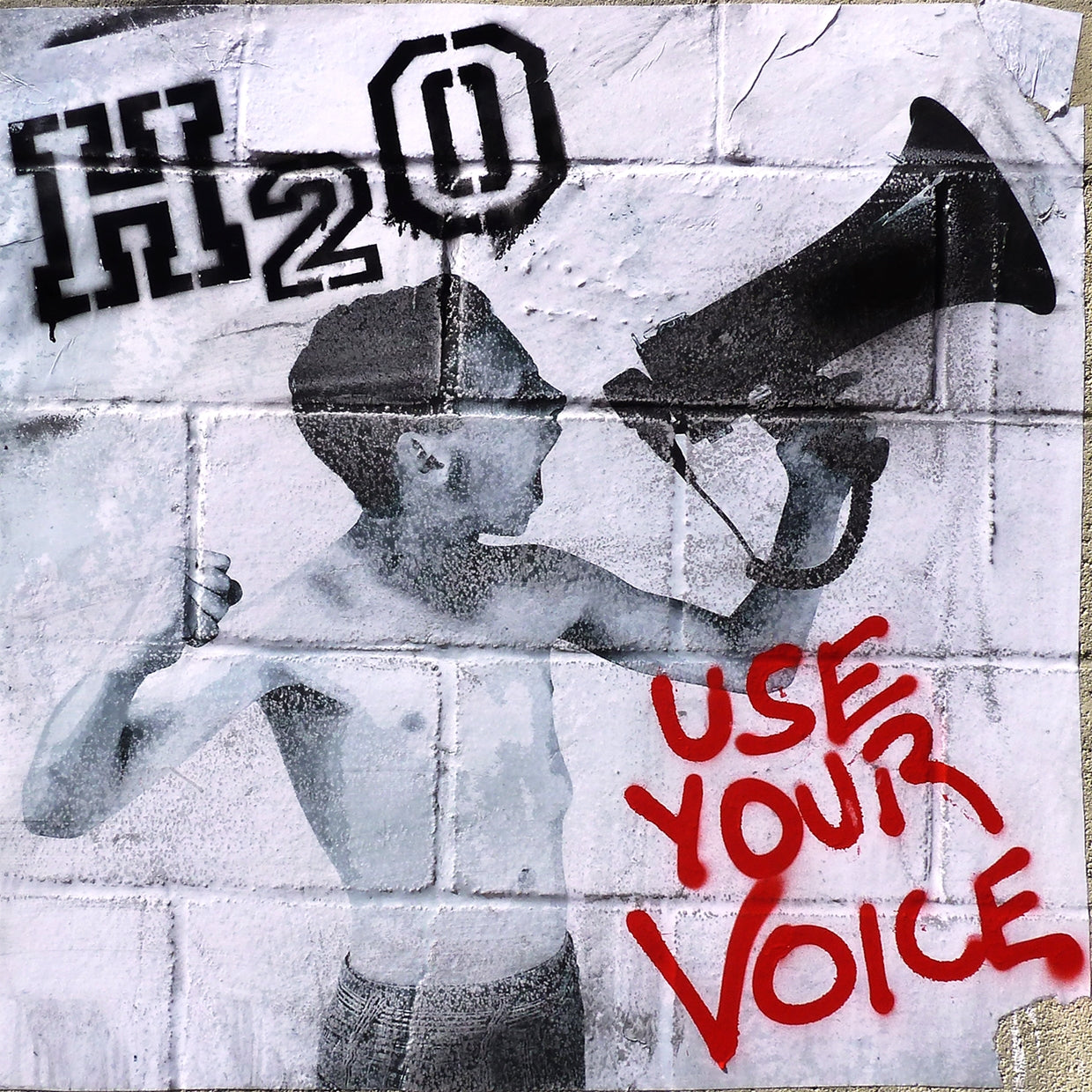 H2O - Use Your Voice - Punk - CD