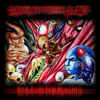 Bound In Human Flesh - Sick Lust For Revenge - Black Metal - CD