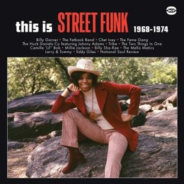 Various Artists - This Is Street Funk 1968-1974 - Soul/Funk - LP