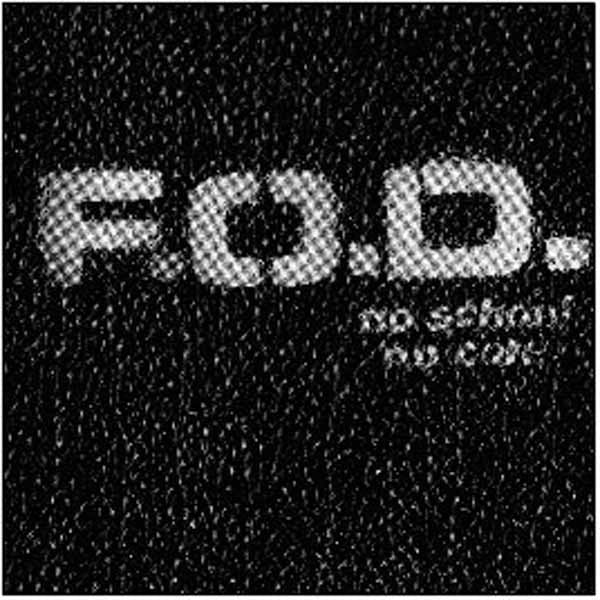 Flag Of Democracy - No School, No Core - Hardcore - LP