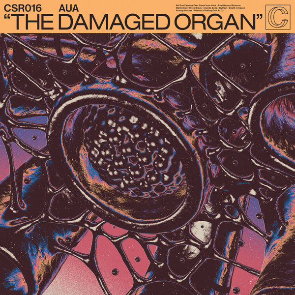 Acid Reign - The Damaged Organ - Rock - Music Vinyl LP