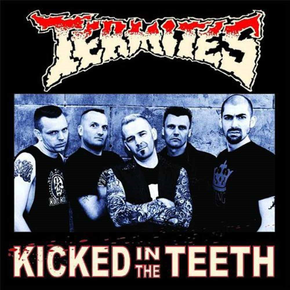 Termites - Kicked In The Teeth - Punk - LP