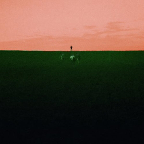 Dust Covered Carpet - Witness Me, Pass Out - Indie - LP