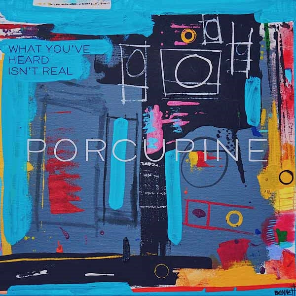Porcupine - What You'Ve Heard Isn'T Real - Indie - LP