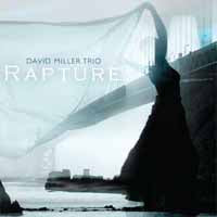 Dave Miller Trio - Rapture - Jazz - CD
