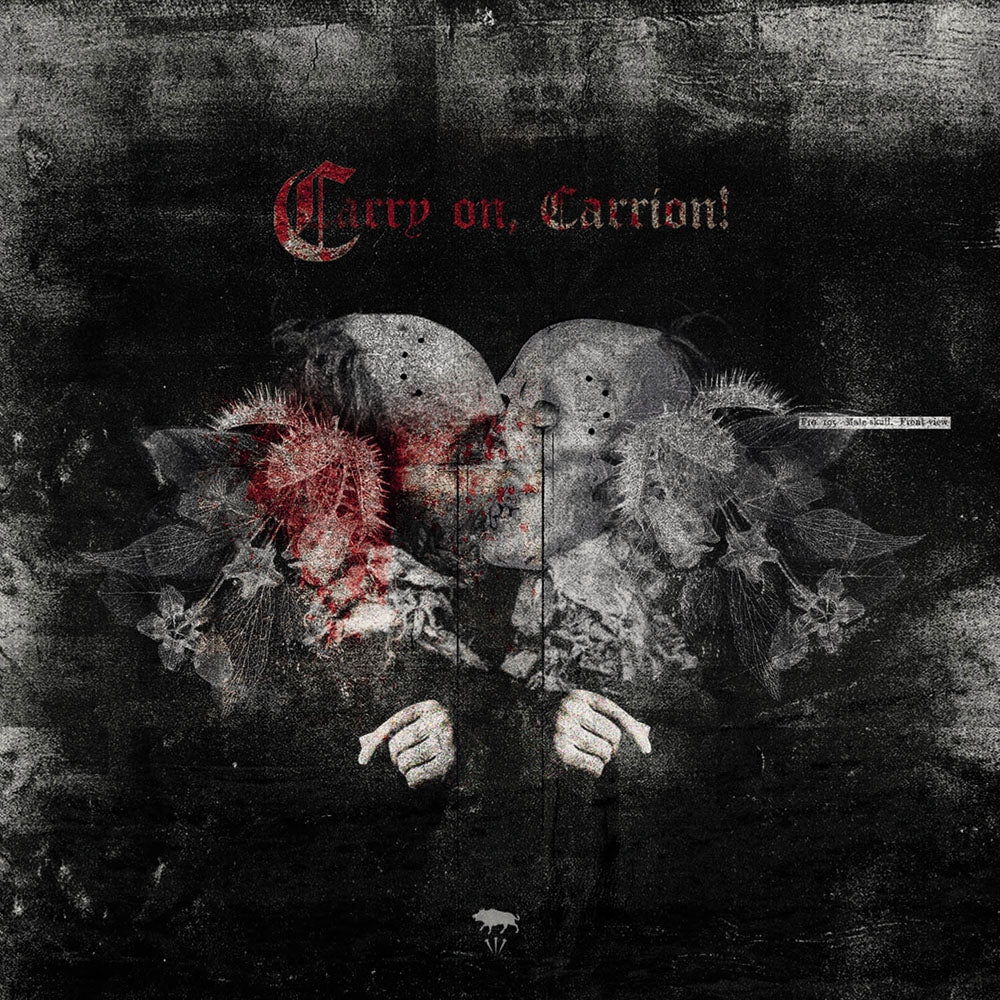 Ayat - Carry On, Carrion - Metal - CD