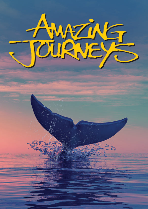 Feature Film - Amazing Journeys - Film/TV/Character - DVD