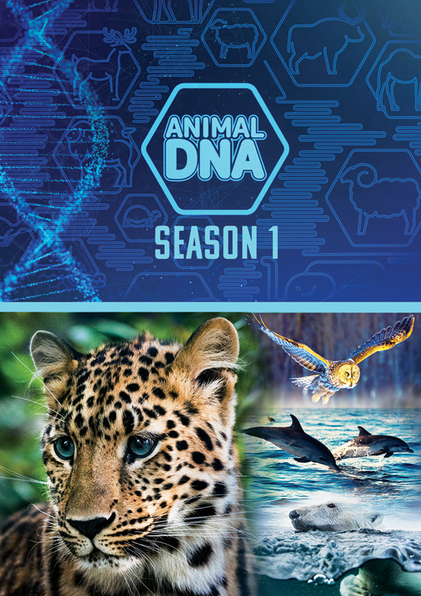 Feature Film - Animal Dna: Season One - Film/TV/Character - DVD