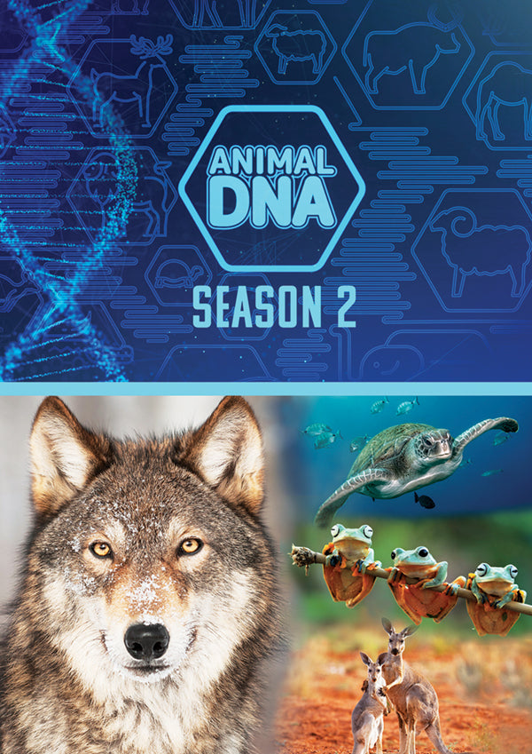 Feature Film - Animal Dna: Season Two - Film/TV/Character - DVD