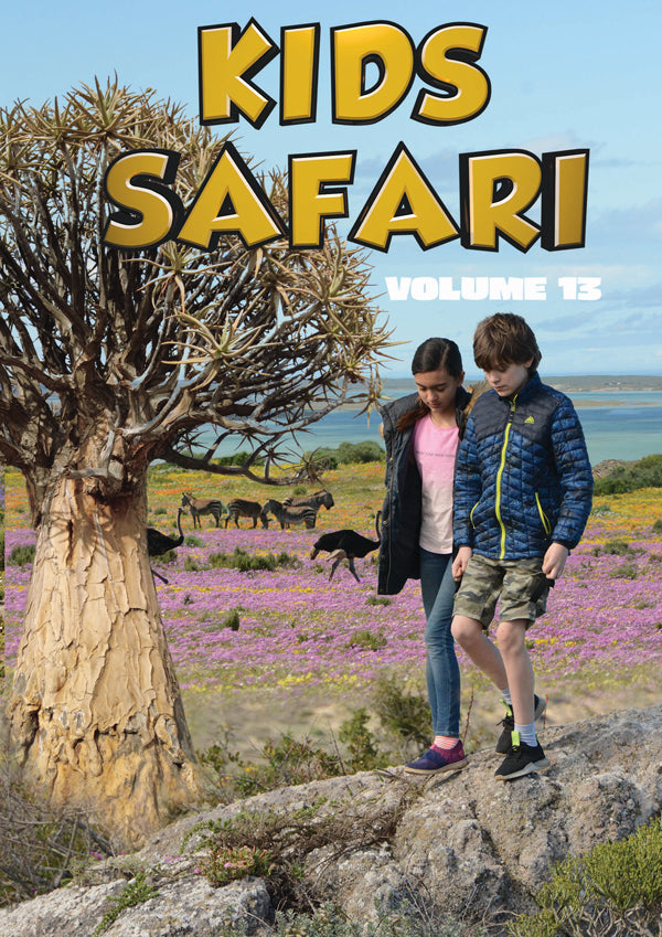 Feature Film - Kids Safari: Volume Thirteen - Film/TV/Character - DVD