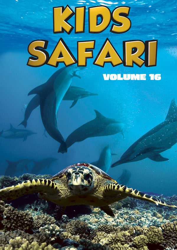 Feature Film - Kids Safari: Volume Sixteen - Film/TV/Character - DVD