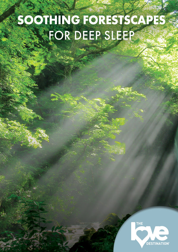 Feature Film - The Love Destination Courses: Soothing Forestscapes For Deep Sleep - Film/TV/Character - DVD