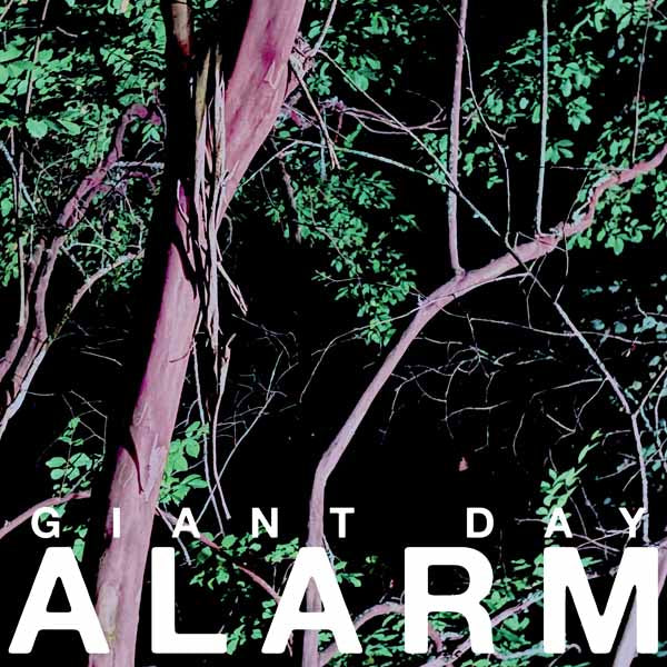 Giant Day - Alarm - Rock/Pop - LP