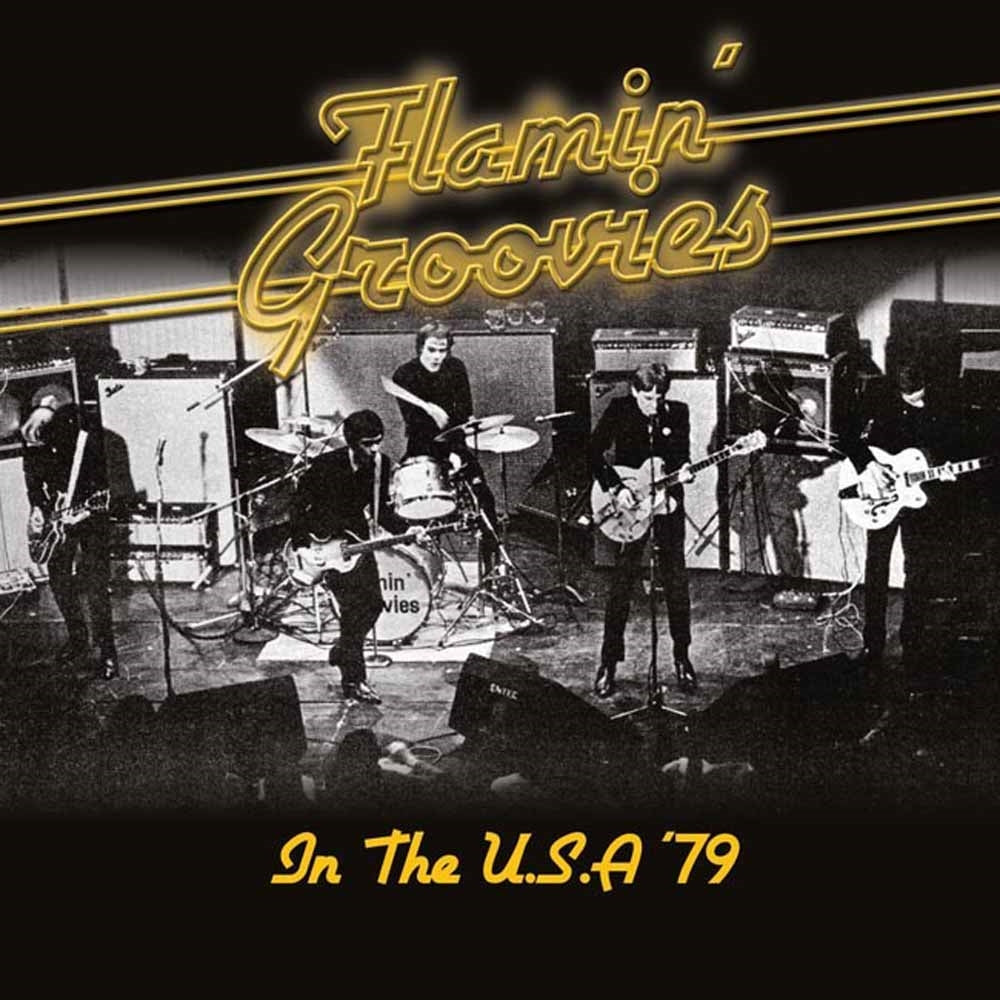 Flamin' Groovies - In The U.S.A. '79 - Rock - CD