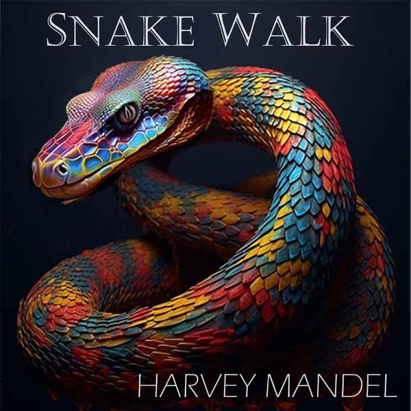 Harvey Mandel - Snake Walk - Blues - LP