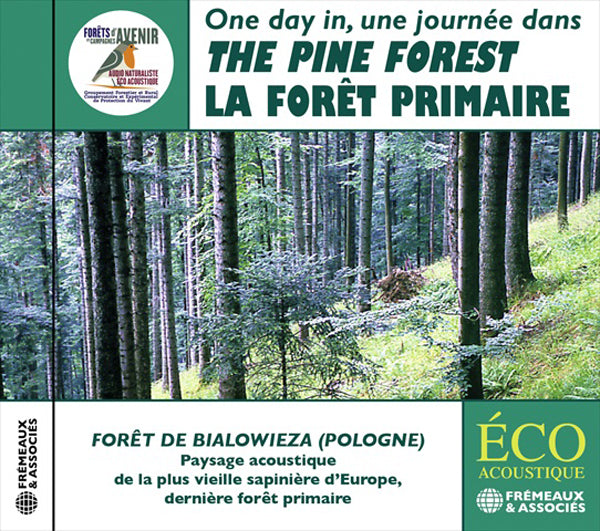 Une Journee Dans La Foret De Sapins - The Pine Forest - Rock/Pop - CD