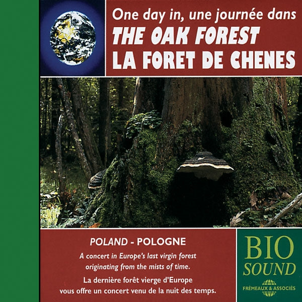 Une Journee Dans La Foret De Chenes - The Oak Forest - Rock/Pop - CD
