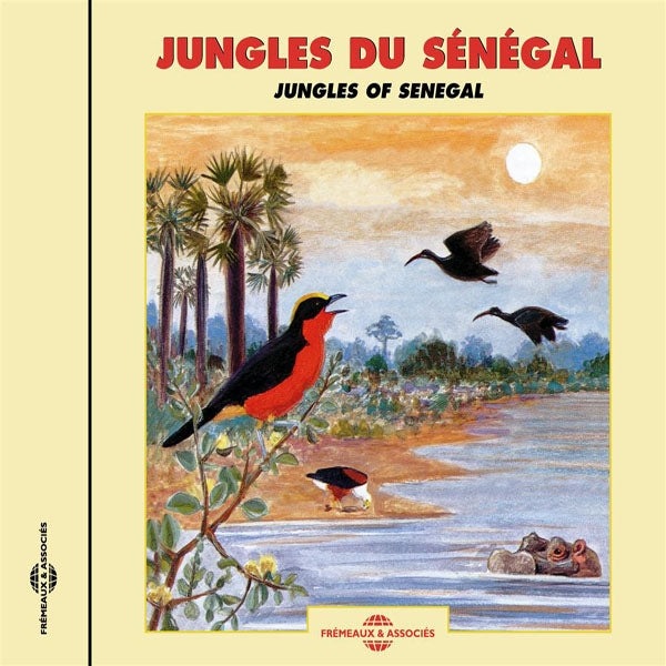 Jungles Du Senegal - Jungles Of Senegal - Rock/Pop - CD
