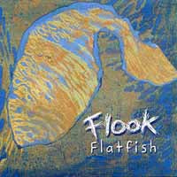 Flook - Flatfish - Country/Folk - CD