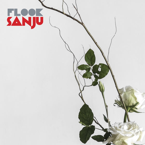 Flook - Sanju - Country/Folk - CD