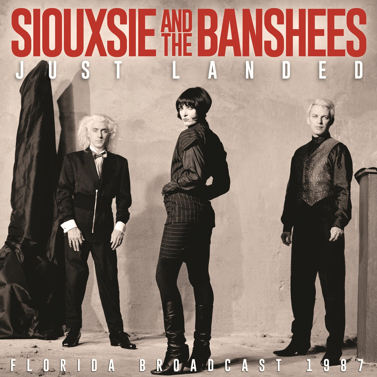 Siouxsie & The Banshees - Just Landed - Rock - CD