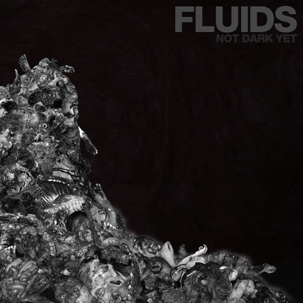 Fluids - Not Dark Yet - Death Metal - LP